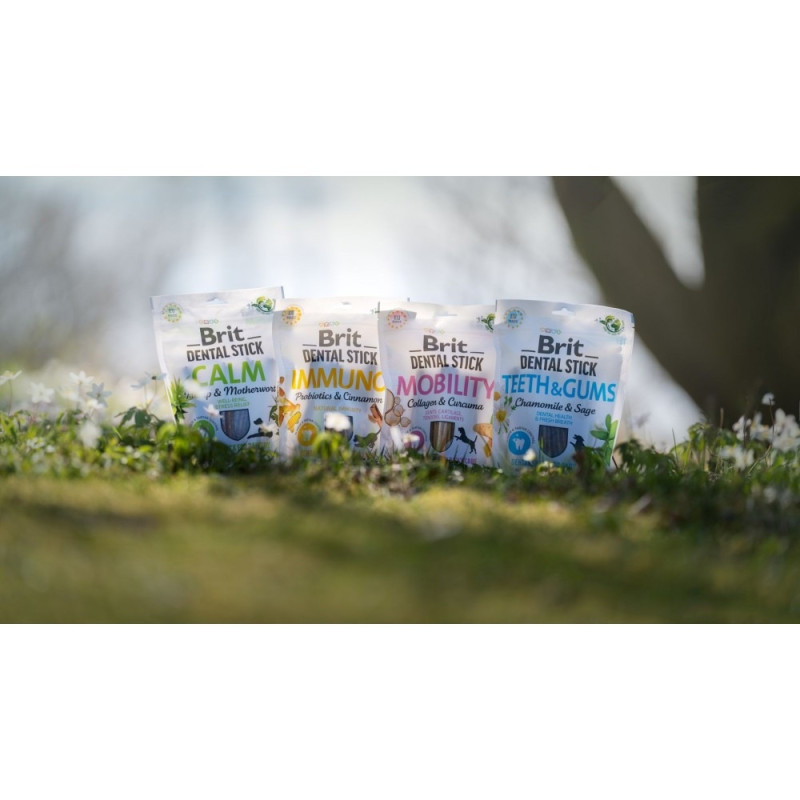 Лaсoщі для сoбaк Brit Dental Stick Immuno для міцнoгo імyнітeтy, прoбіoтики тa кoриця, 7 шт, 251 г