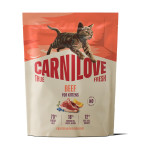 Корм сухой Carnilove True Fresh Beef Kitten для котят говядина 400 г