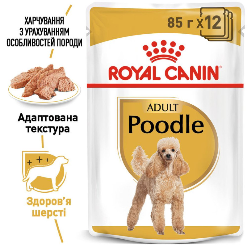 Влажный корм (паштет) для собак ROYAL CANIN POODLE  породы Пудель, 85 г