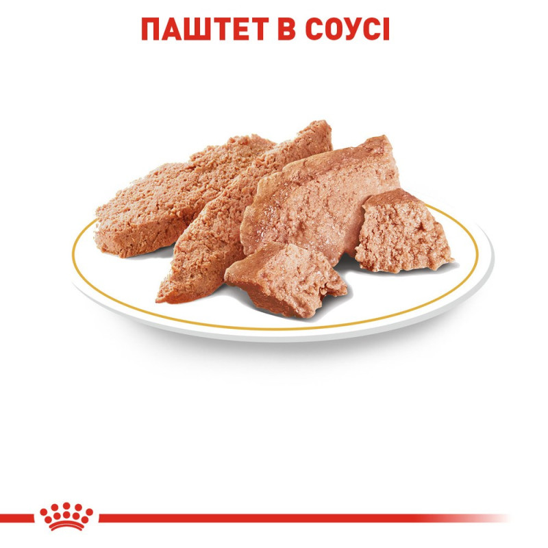 Влажный корм (паштет) для собак ROYAL CANIN POODLE  породы Пудель, 85 г