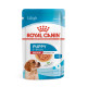 Влажный корм (в соусе) для щенков ROYAL CANIN MEDIUM PUPPY средних пород, 140 г