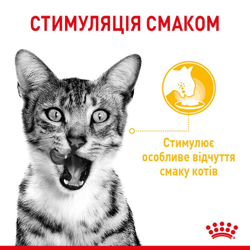 Вологий корм (в соусі) для котів ROYAL CANIN SENSORY MULTIPACK, 3x4x85 г