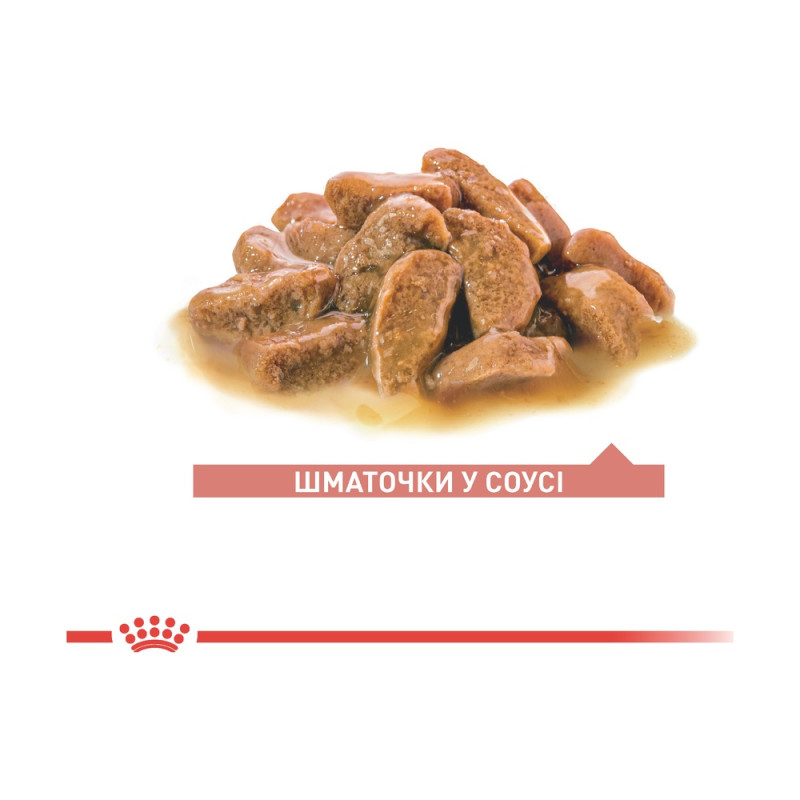 Влажный корм для пожилых кошек ROYAL CANIN AGEING 11+ 0.085 кг