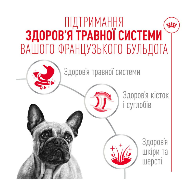Влажный корм для взрослых собак породы Французский бульдог ROYAL CANIN FRENCH BULLDOG LOAF 0.085 кг