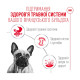 Влажный корм для взрослых собак породы Французский бульдог ROYAL CANIN FRENCH BULLDOG LOAF 0.085 кг