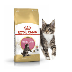 Сухий корм для кошенят ROYAL CANIN MAINECOON KITTEN породи Мейн-Кун, 400 г