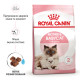 Сухой корм для котят и кошек ROYAL CANIN MOTHER & BABY новорожденным и в период лактации/беременности, 10 кг