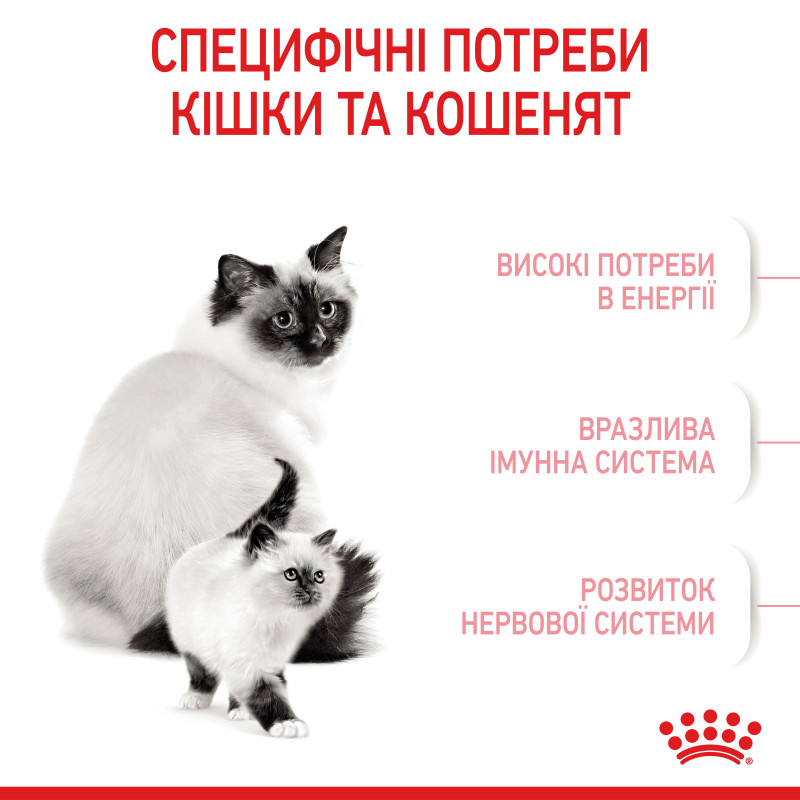 Сухой корм для котят и кошек ROYAL CANIN MOTHER & BABY новорожденным и в период лактации/беременности, 10 кг