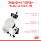 Сухой корм для котят и кошек ROYAL CANIN MOTHER & BABY новорожденным и в период лактации/беременности, 10 кг