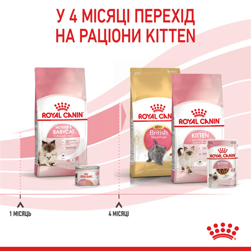 Сухой корм для котят и кошек ROYAL CANIN MOTHER & BABY новорожденным и в период лактации/беременности, 10 кг