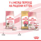 Сухой корм для котят и кошек ROYAL CANIN MOTHER & BABY новорожденным и в период лактации/беременности, 10 кг