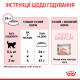 Сухой корм для котят и кошек ROYAL CANIN MOTHER & BABY новорожденным и в период лактации/беременности, 10 кг