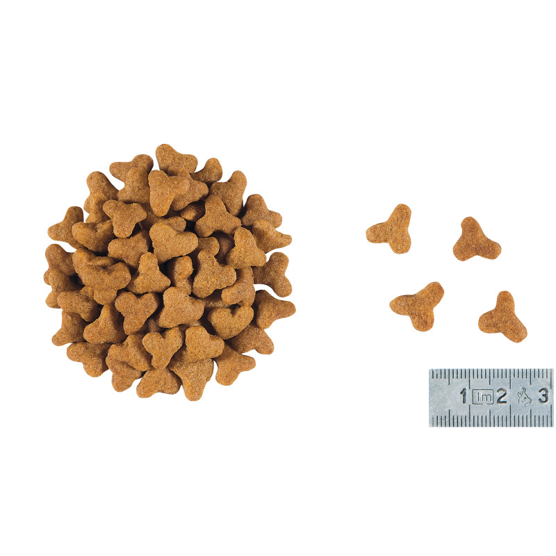 Сухой корм для котов ROYAL CANIN GASTROINTESTINAL FIBRE RESPONSE  для поддержания ЖКТ с повышенным содержанием клетчатки, 400 г