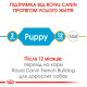 Сухой корм для щенков ROYAL CANIN FRENCH BULL PUPPY породы Французский бульдог, 1 кг