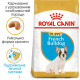 Сухой корм для щенков ROYAL CANIN FRENCH BULL PUPPY породы Французский бульдог, 1 кг