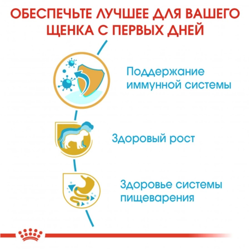 Сухой корм для щенков ROYAL CANIN JACK RUSSEL PUPPY породы Джек-Рассел-терьер, 1,5 кг