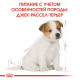Сухой корм для щенков ROYAL CANIN JACK RUSSEL PUPPY породы Джек-Рассел-терьер, 1,5 кг
