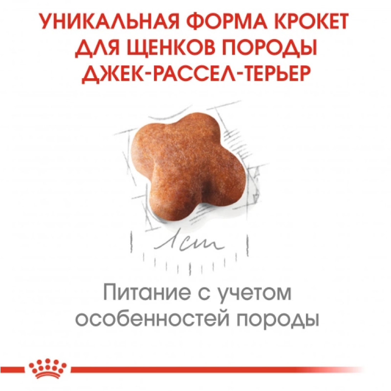 Сухой корм для щенков ROYAL CANIN JACK RUSSEL PUPPY породы Джек-Рассел-терьер, 1,5 кг