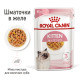 Влажный корм (в желе) для котят ROYAL CANIN KITTEN INSTINCTIVE  - инстинктивная пища, 85 г