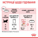 Влажный корм (в желе) для котят ROYAL CANIN KITTEN INSTINCTIVE  - инстинктивная пища, 85 г