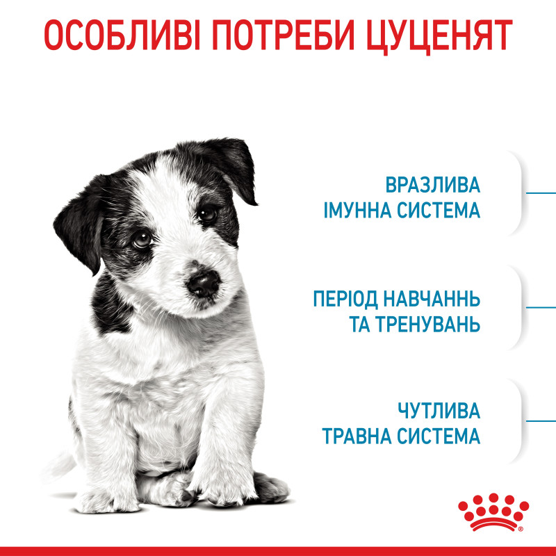 Сухой корм для щенков ROYAL CANIN MINI PUPPY малых пород, 2 кг