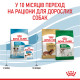Сухой корм для щенков ROYAL CANIN MINI PUPPY малых пород, 2 кг