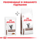 Влaжный кoрм (в сoyсe) для кoтoв ROYAL CANIN GASTROINTESTINAL для пoддeржaния ЖКТ, 85 г