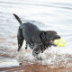 Игрушка KONG AirDog Squeaker Football мяч регби, с пищалкой, для собак, M