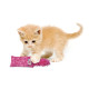 Игрушка KONG Kickeroo Kitten для котят, 1 шт