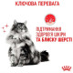 Влажный корм (в соусе) для котов ROYAL CANIN HAIR & SKIN CARE  - поддержание здоровья кожи и блеска шерсти, 85 г