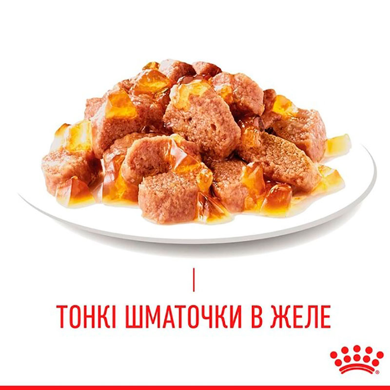 Влажный корм (в соусе) для котов ROYAL CANIN HAIR & SKIN CARE  - поддержание здоровья кожи и блеска шерсти, 85 г