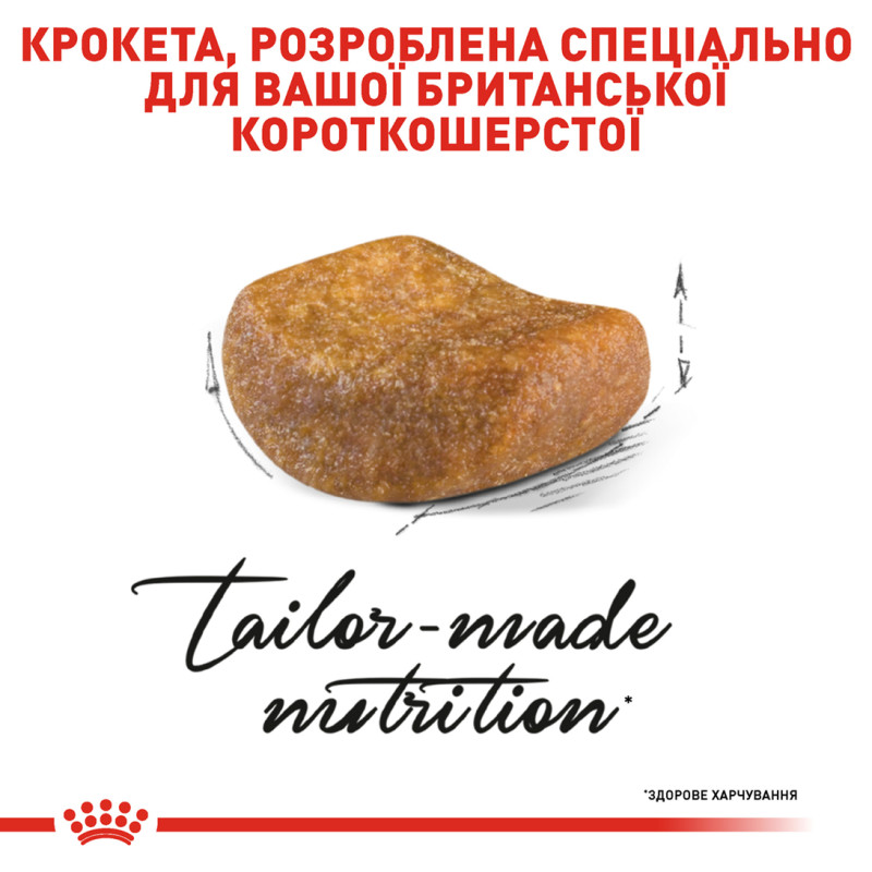 Сухой корм для котов ROYAL CANIN BRITISH SHORTHAIR ADULT породы Британская короткошерстная, 10 кг