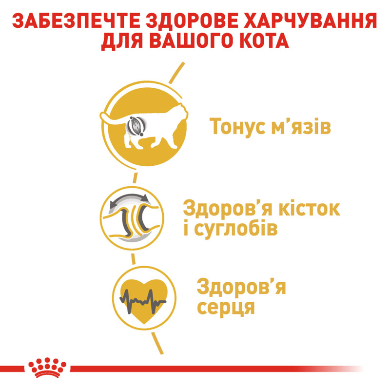 Сухой корм для котов ROYAL CANIN BRITISH SHORTHAIR ADULT породы Британская короткошерстная, 10 кг