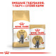 Сухой корм для котов ROYAL CANIN BRITISH SHORTHAIR ADULT породы Британская короткошерстная, 10 кг