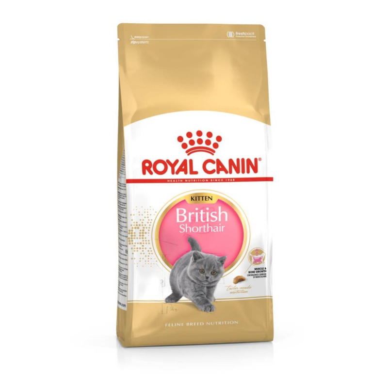 Сухой корм для котят ROYAL CANIN KITTEN BRITISH SHORTHAIR породы Британская короткошерстная, 10 кг
