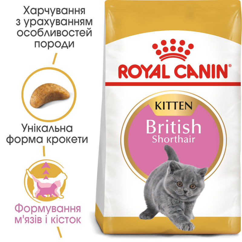 Сухой корм для котят ROYAL CANIN KITTEN BRITISH SHORTHAIR породы Британская короткошерстная, 10 кг