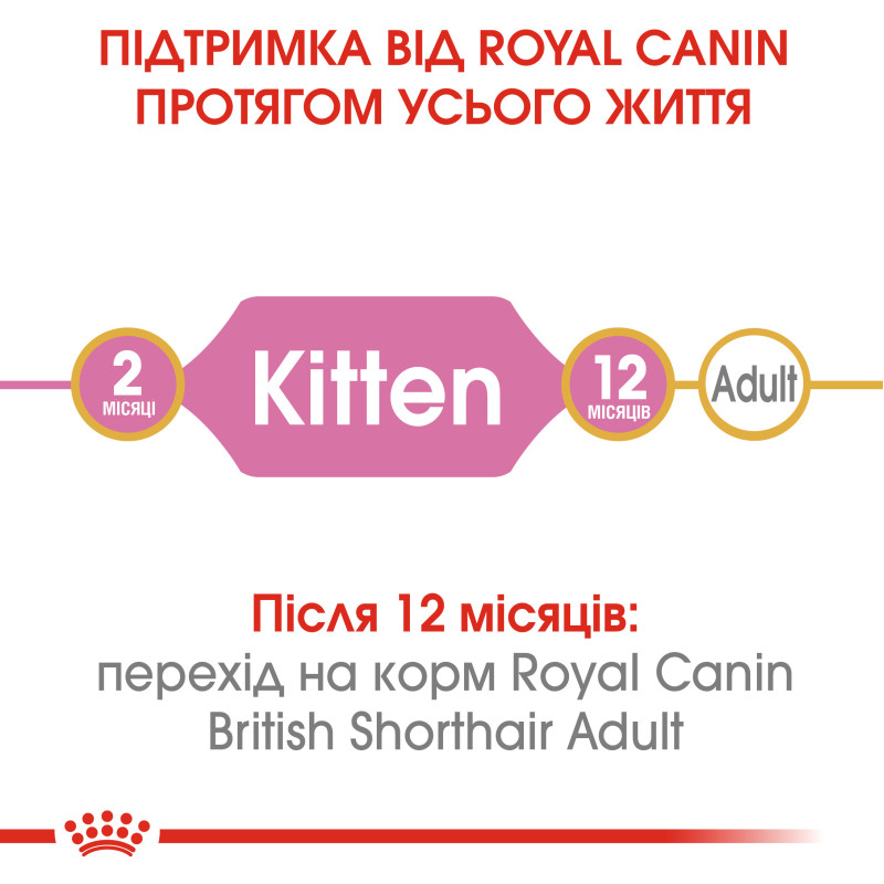 Сухой корм для котят ROYAL CANIN KITTEN BRITISH SHORTHAIR породы Британская короткошерстная, 10 кг