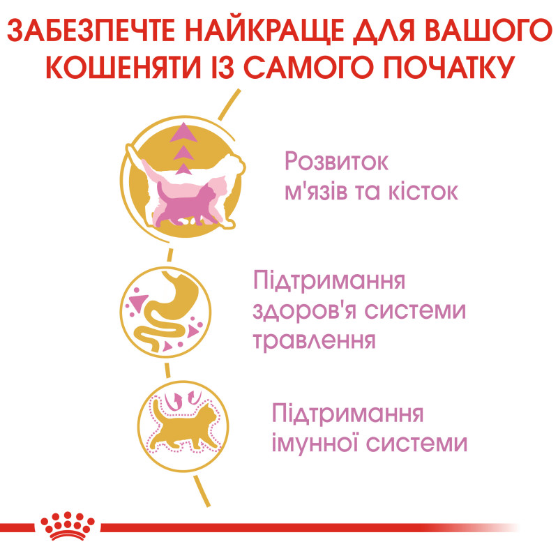 Сухой корм для котят ROYAL CANIN KITTEN BRITISH SHORTHAIR породы Британская короткошерстная, 10 кг