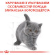 Сухой корм для котят ROYAL CANIN KITTEN BRITISH SHORTHAIR породы Британская короткошерстная, 10 кг