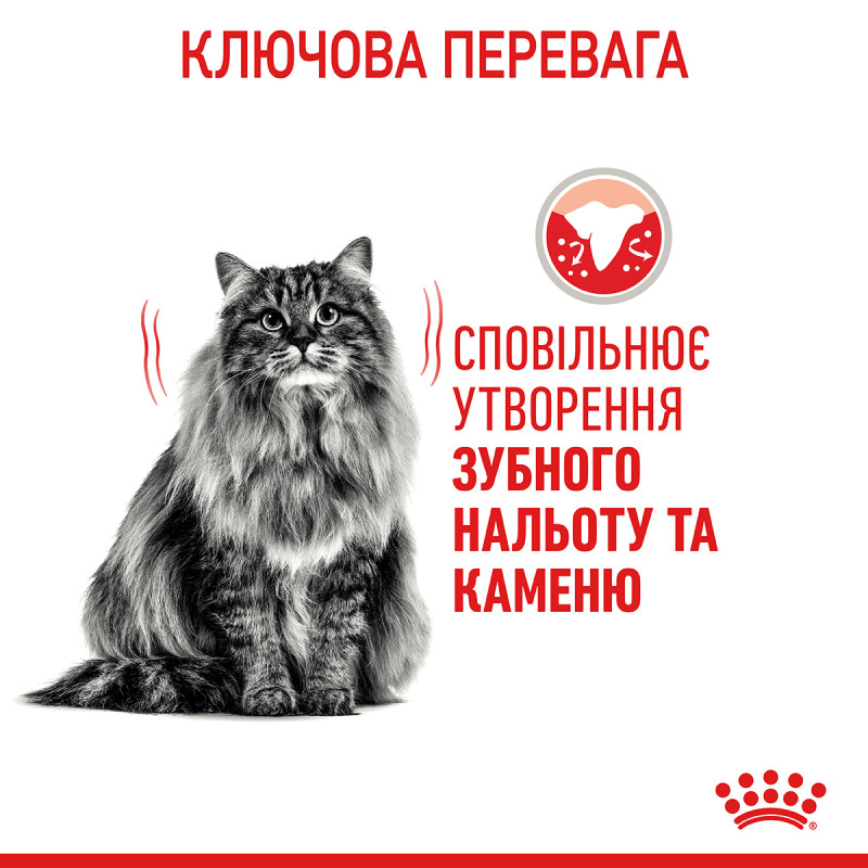 Сухой корм для котов ROYAL CANIN DENTAL CARE - уменьшение образования зубного налета и камня, 8 кг