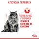Сухой корм для котов ROYAL CANIN DENTAL CARE - уменьшение образования зубного налета и камня, 8 кг