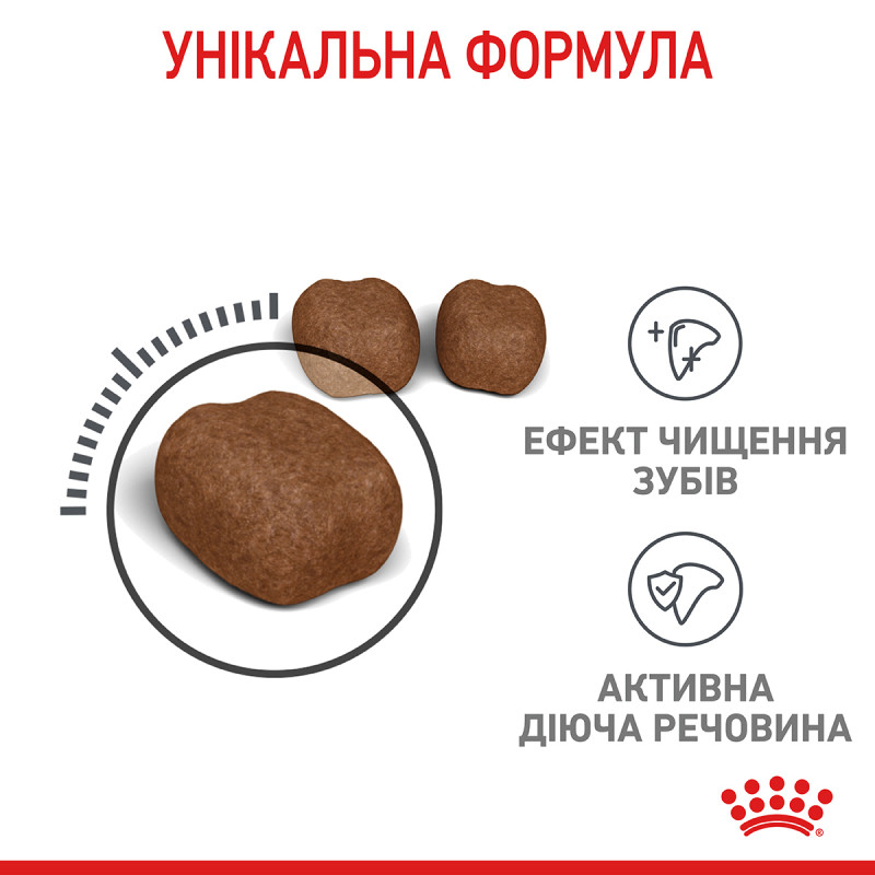 Сухой корм для котов ROYAL CANIN DENTAL CARE - уменьшение образования зубного налета и камня, 8 кг