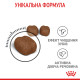 Сухой корм для котов ROYAL CANIN DENTAL CARE - уменьшение образования зубного налета и камня, 8 кг