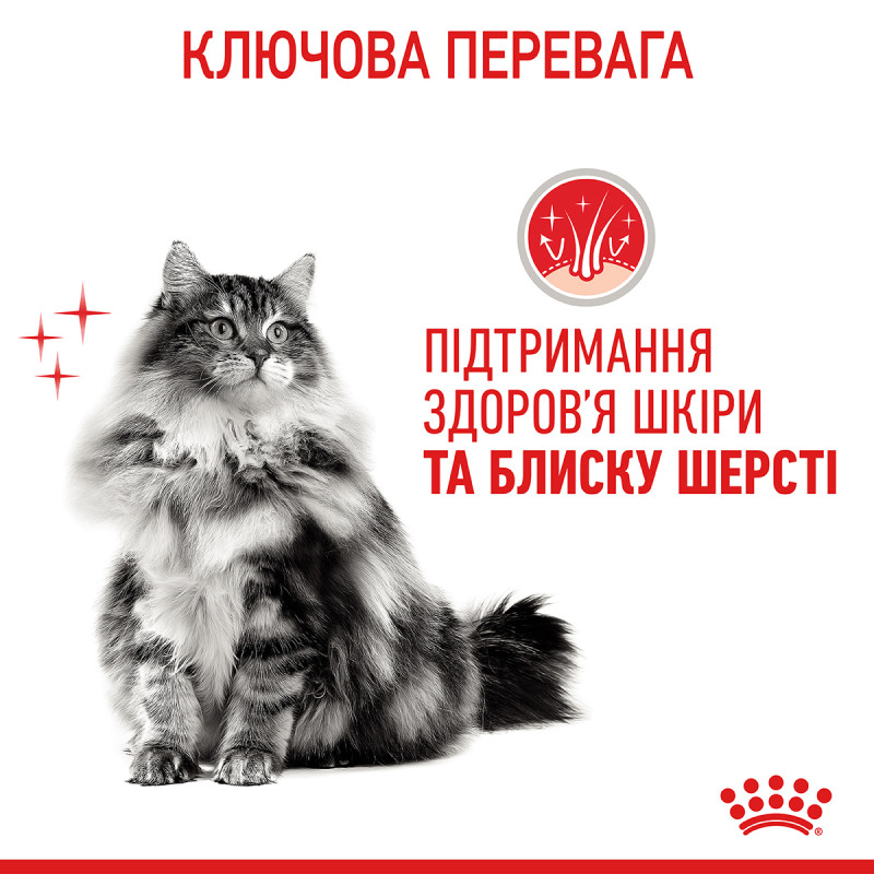 Сухой корм для котов ROYAL CANIN HAIR & SKIN CARE - поддержание здоровья кожи и блеска шерсти, 10 кг