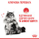 Сухой корм для котов ROYAL CANIN HAIR & SKIN CARE - поддержание здоровья кожи и блеска шерсти, 10 кг