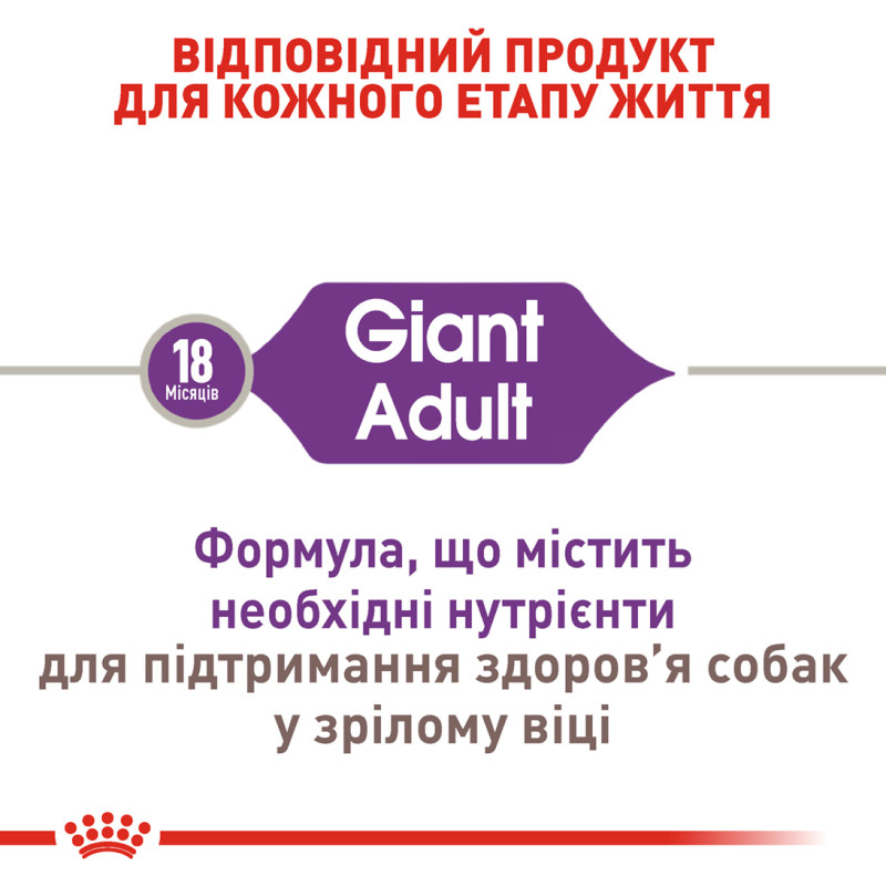 Сухой корм для собак ROYAL CANIN GIANT ADULT гиганстких пород, 15 кг