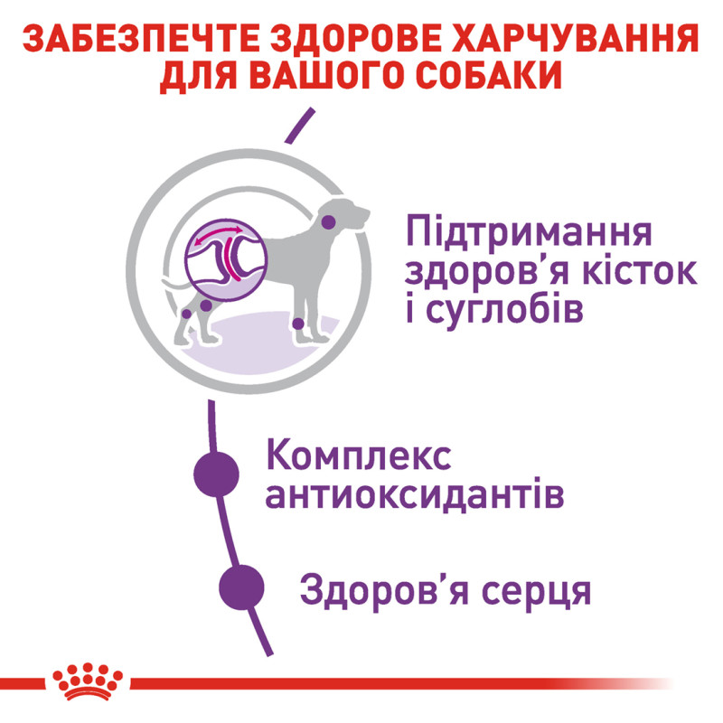 Сухой корм для собак ROYAL CANIN GIANT ADULT гиганстких пород, 15 кг