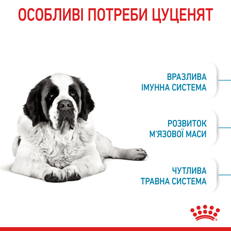 Сухой корм для собак ROYAL CANIN GIANT JUNIOR молодых гиганстких пород, 15 кг