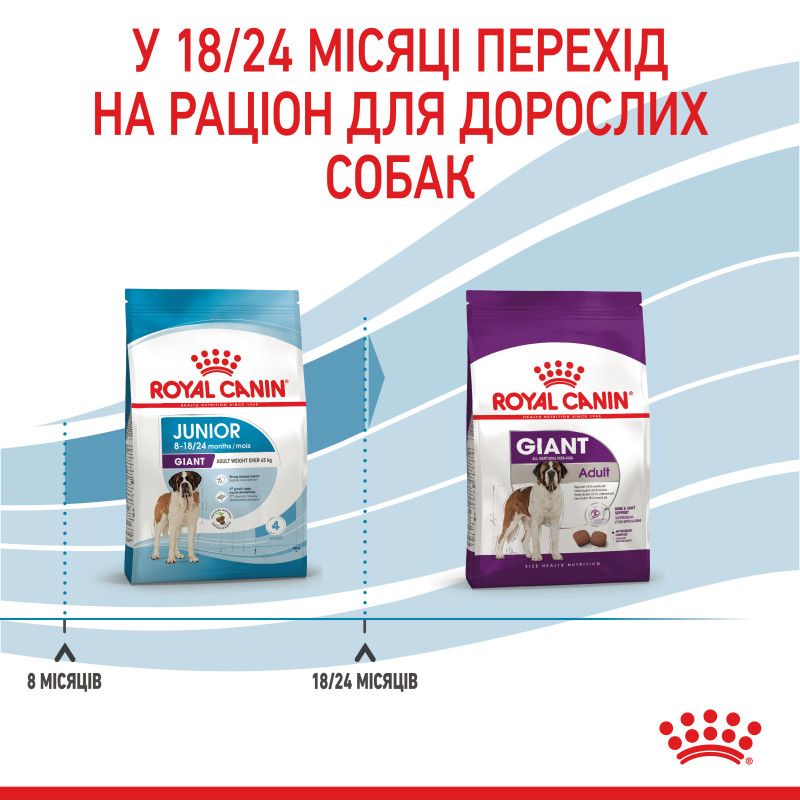 Сухой корм для собак ROYAL CANIN GIANT JUNIOR молодых гиганстких пород, 15 кг
