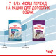 Сухой корм для собак ROYAL CANIN GIANT JUNIOR молодых гиганстких пород, 15 кг
